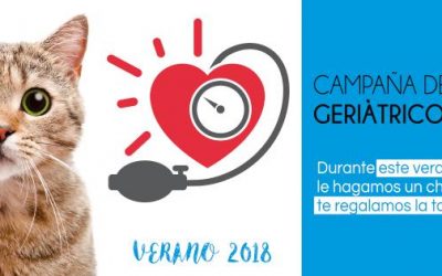 CAMPAÑA DE CHEQUEO GERIÁTRICO PARA GATOS