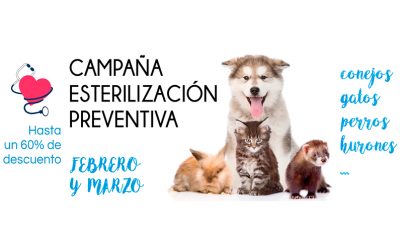 Campaña de Esterilización Preventiva
