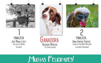 Natividad ganadora concurso fotografía