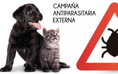 Campaña Desparasitación Externa 2019