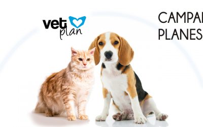 Campaña Planes de Salud 2019: Tu mascota siempre protegida con Vetplan
