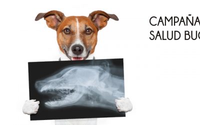 Campaña de Salud Bucodental 2019