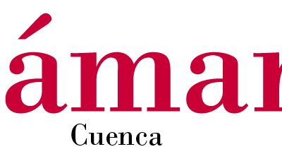 Clínica Veterinaria Zarpa se ha beneficiado del programa TICCámaras de la Cámara Oficial de Comercio e Industria de Cuenca