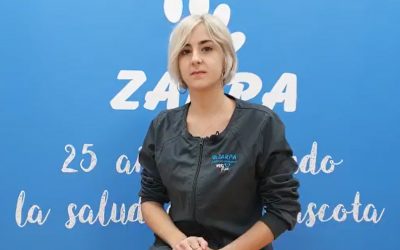 Consejos para cuidar a un perro cachorro.