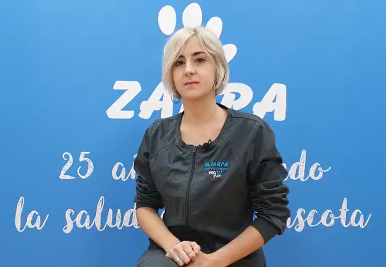 Consejos para cuidar a un perro cachorro.