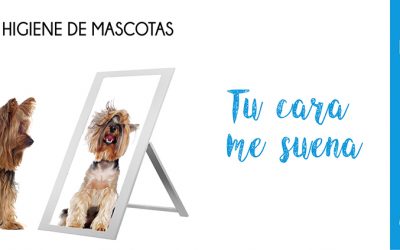 Campaña Higiene Mascotas 2020: Gana un año de Peluquería para tu peludo