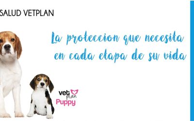 Campaña Medicina Preventiva 2020