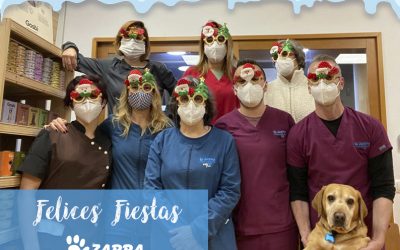 ¡Feliz Navidad y Próspero Año Nuevo!