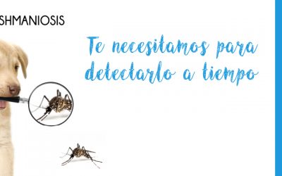 Campaña de Detección Precoz de la Leishmaniosis 2020-2021