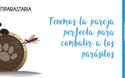 Campaña de desparasitación abril-mayo 2021