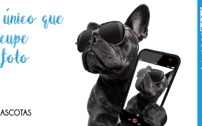 Campaña de Higiene de Mascotas 2021