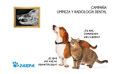 Campaña de Odontología Veterinaria 2021