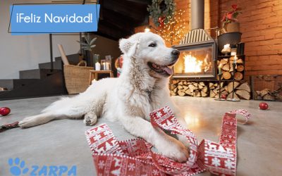 Felices Fiestas y Próspero Año Nuevo