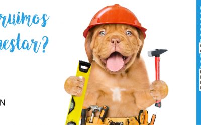 20% de descuento hasta el 31 de marzo en nuestra Campaña de Esterilización Preventiva 2022