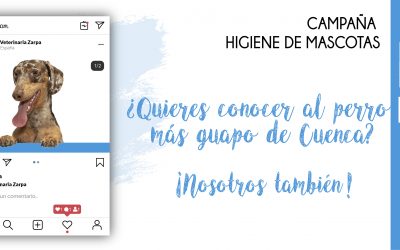 Campaña Higiene de Mascotas 2022
