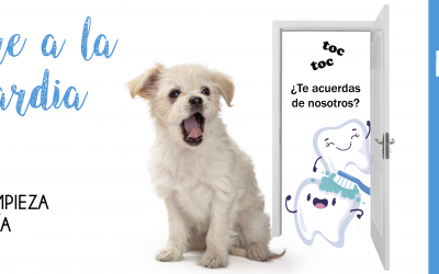 Campaña de Odontología Veterinaria 2022