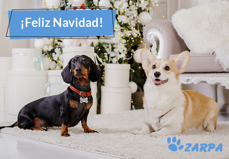 ¡Os deseamos una muy Feliz Navidad!
