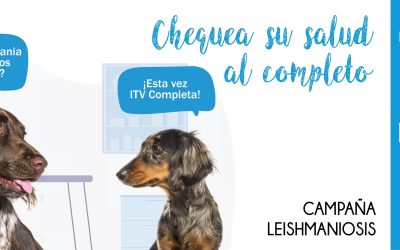 Campaña Leishmaniosis 2022-2023