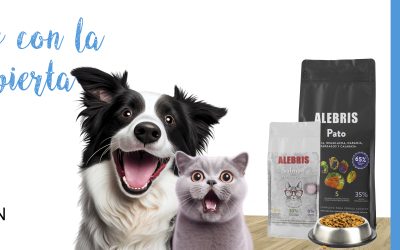 Campaña de Alimentación Saludable 2023