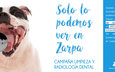 Campaña Limpieza y Radiología Dental Zarpa