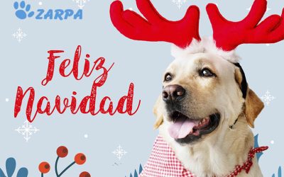 ¡Feliz Navidad y año nuevo de parte de Zarpa!