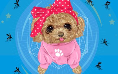 Prevenimos la Leishmaniosis: aprovecha nuestra campaña y protege a tu mascota