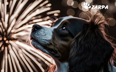 Pirotecnia y mascotas: cómo protegerlas en Navidad