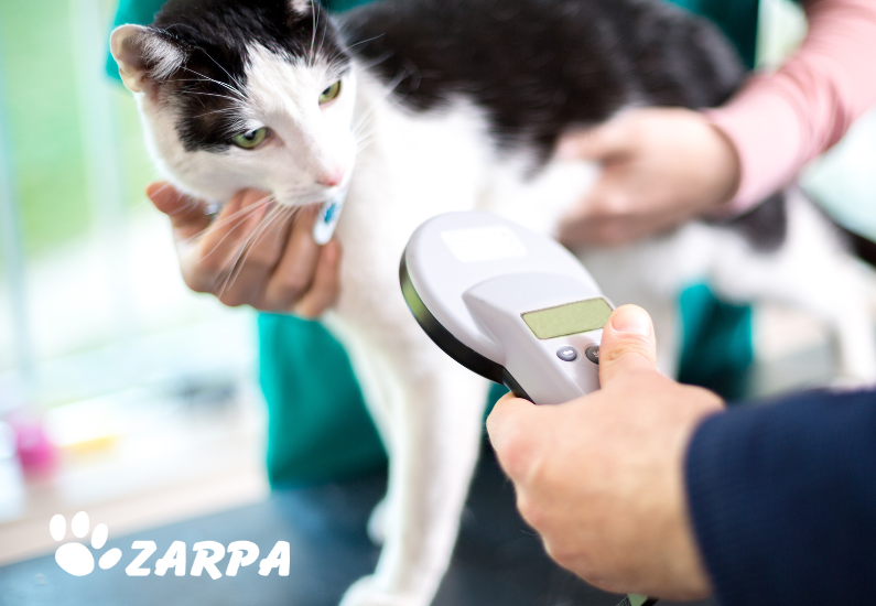 Identificacion Microchip Mascotas