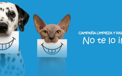 Campaña de Salud Dental Zarpa 2025