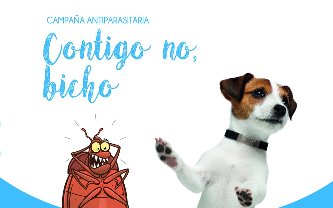 Campaña Antiparasitaria 2026: Mantenlo protegido de pulgas, garrapatas y más