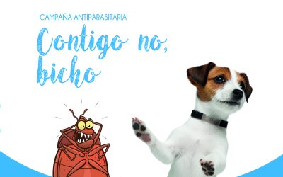 Campaña Antiparasitaria 2026: Mantenlo protegido de pulgas, garrapatas y más