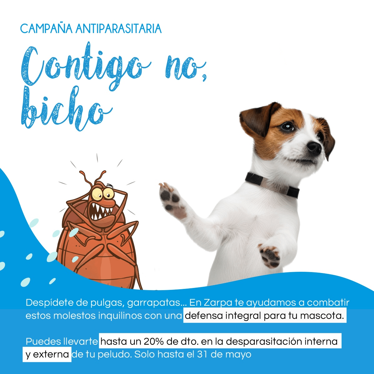 cartel campaña antiparasitaria pulgas, garrapatas, etc 2026