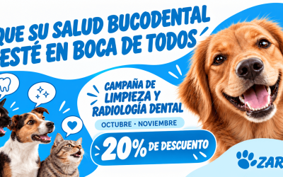 Campaña de Salud Dental Zarpa 2026: 20% en limpieza y radiología dental